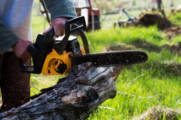 Best Soil Testing and Treatment  in Miami, FL